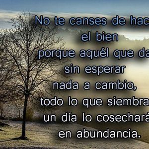 Meet your Posher, Alma